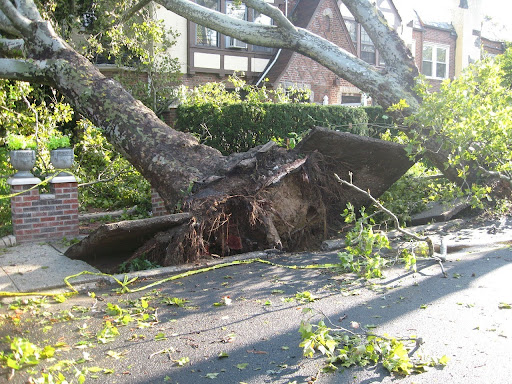 Top Fixtures That Your House Might Need After A Storm
